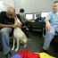 Will pets at work place cause lack of productivity?